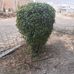 Abelardo Ayala - Facebook