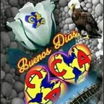 Abelardo Bello - @abelardo2374 - Instagram