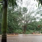 Abelardo Borges - Facebook