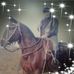 Abelardo Adrian Bustos - Facebook