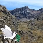 Abelardo Campos - Facebook