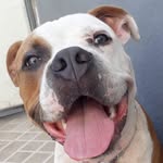 Abelardo Campos Pieri - @abelardocampospieri - Instagram