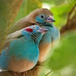 Abelardo Cano - @abelardomlg - Instagram