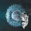 Abelardo Cano - @abelardocano0 - TikTok