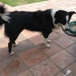 abelardo cano contreras - @abelardocanoc - Instagram