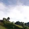 Abelardo Carrillo - @abelardo.carrillo0 - TikTok