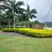 Abelardo Carrillo - Facebook