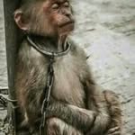 abelardo castillo - @abelardo7520 - Instagram