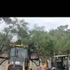 Abelardo Castillo Carhuatanta - @abelardo.castillo42 - TikTok