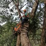Abelardo Chacon Gamboa - @abelardochacongamboa - Instagram