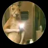Abelardo Cisneros - @abelardo.cisneros - TikTok