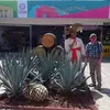 abelardocortez492 - @abelardocortez492 - TikTok