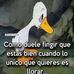 Abelardo Dávila - Facebook