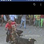 Abelardo Dominguez - @abelardo3431 - Instagram