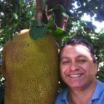 Abelardo Dominguez - @abelardo.dominguez.71 - Instagram
