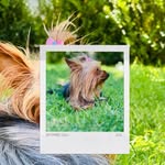 Abelardo Duran - @abelardo.duran.94 - Instagram