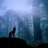 Abelardo Esparza - @abelardo.esparza8 - TikTok