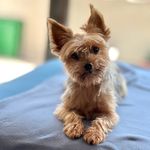 Abelardo Feliberto Pozo Fuentes - @abelardofeliberto - Instagram