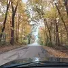 Abelardo Galvan - @abelardo.galvan - TikTok