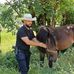 Abelardo Marchorro Guerra - Facebook