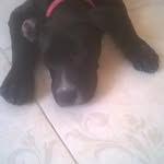 Abelardo Herrera Ramirez - @abelardoherreraramirez - Instagram
