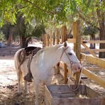 Abelardo Huerta - Facebook