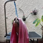 Abelardo León Jaramillo Urrego - @jaramilloabelardoleon - Instagram