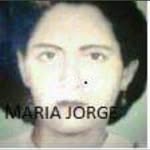 Abelardo Segundo Jorge - @jorgeabelardosegundo - Instagram