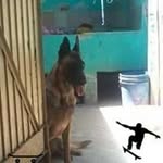 Abelardo Lara Gallardo - @abelardolaragallardo - Instagram