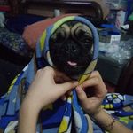 Abelardo Lechuga - @soyalex51 - Instagram