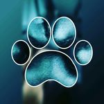 abelardo021lira - @abelardo021lira - Instagram