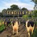 Abelardo De La O Luis - Facebook
