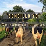 Abelardo De La O Luis - @abedelao - Instagram