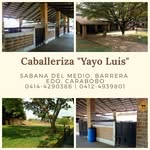 Abelardo luis - @caballeriza_yayo - Instagram