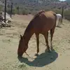 Abelardo Mena - @abelardo.mena8 - TikTok