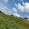 abelardomoncada51 - @abelardomoncada51 - TikTok