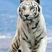 Abelardo Morin - Facebook