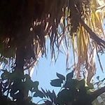 Abelardo Nava - @abelardo.nava.585 - Instagram