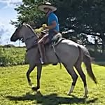 Abelardo Navarro - @lalo.navarro4 - Instagram