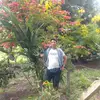 Abelardo Plata - @abelardo.plata2 - TikTok