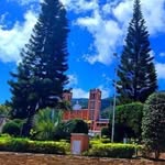 Abelardo Plata Alvarez - @abelardo_161962 - Instagram