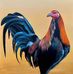 Abelardo Del Rey - Facebook