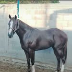 Abelardo Rivera - @abelardorivera140 - Instagram