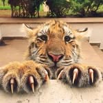 Abelardo Rivera - @riveraabelardo0923 - Instagram