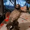 Abelardo Robles - @abelardo.robles1 - TikTok
