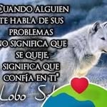Abelardo Romano - @abe.lardoromano - Instagram