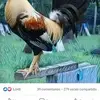 Abelardo Ruiz - @abelardo.ruiz91 - TikTok