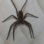Abelardo Salgado - @abelardo_salgado - Instagram