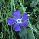 Abelardo Sanchez - @abelardo8489 - Instagram