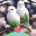 Abelardo Serrano - Facebook